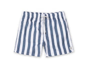 Mens Volley Swim Shorts