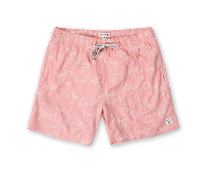 Mens Embroidered Volley Swim Shorts