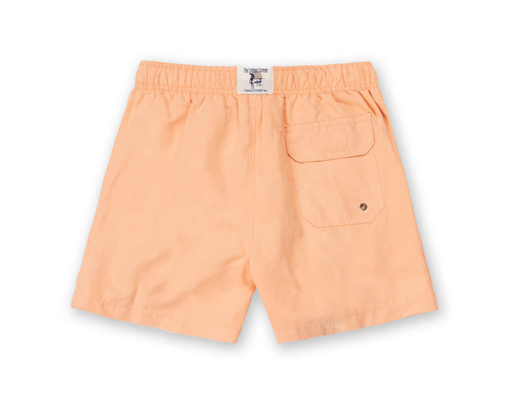 Boys Volley Swim Shorts