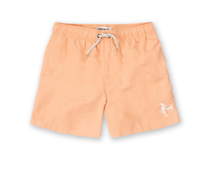 Boys Volley Swim Shorts