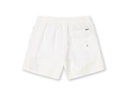 Mens Poolside Volley Swim Shorts