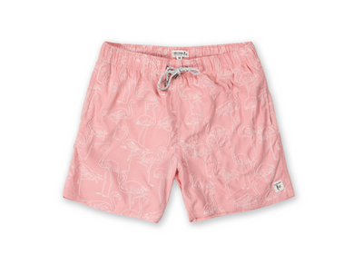 Mens Embroidered Volley Swim Shorts